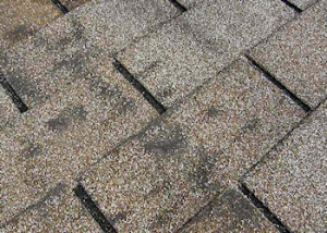 Dark, dirty-looking areas on your roof