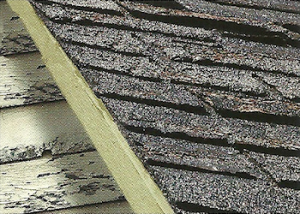 Roof shingle, sheathing, and siding decay