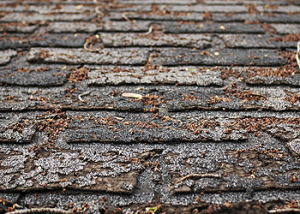 Missing, cracked, or curling shingles