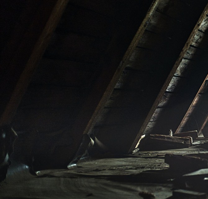 Mildew in attic