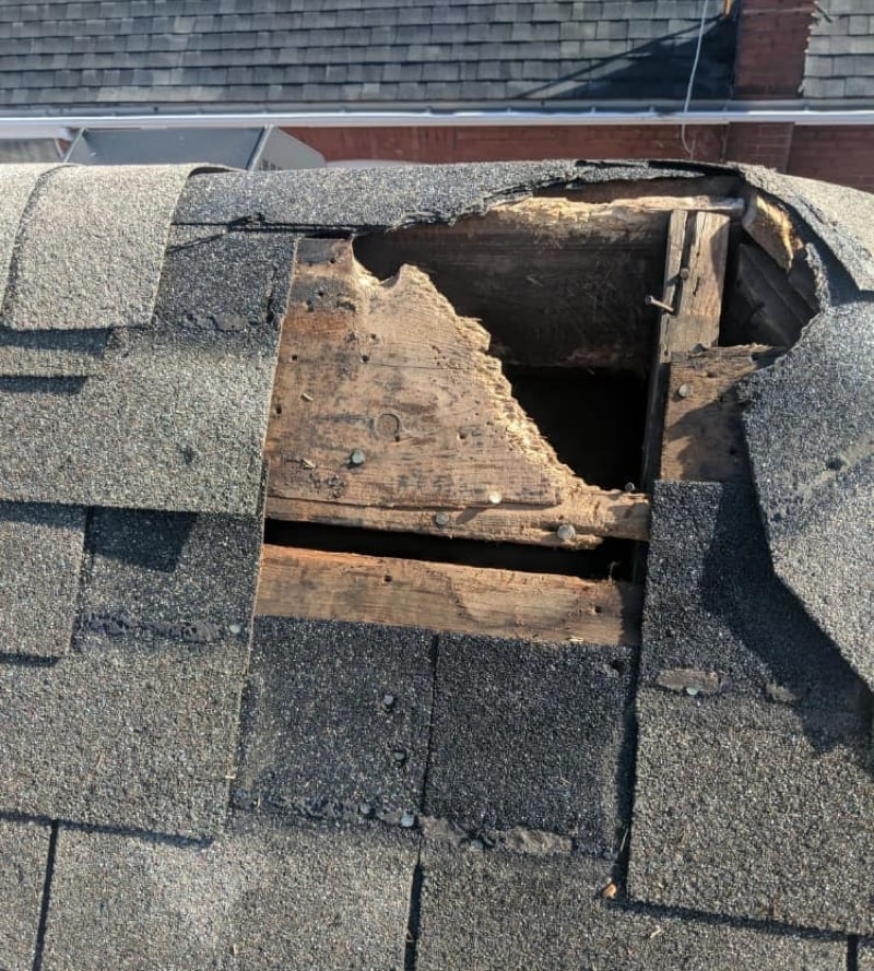 roof-and-shingle-damage-by-squirrels